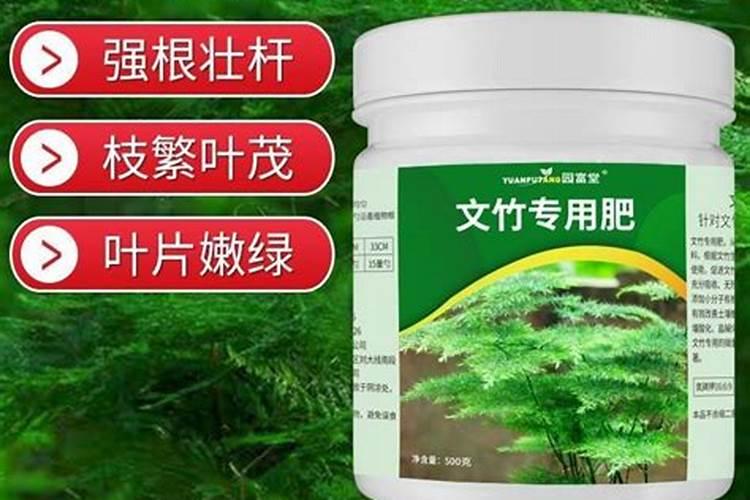 文竹肥料有哪些