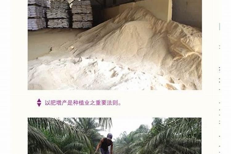 兰花翻盆后服盆快的三个方法