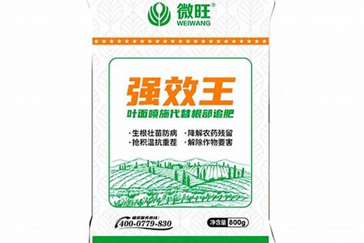 叶面肥可以灌根吗 叶面肥多长时间能吸收