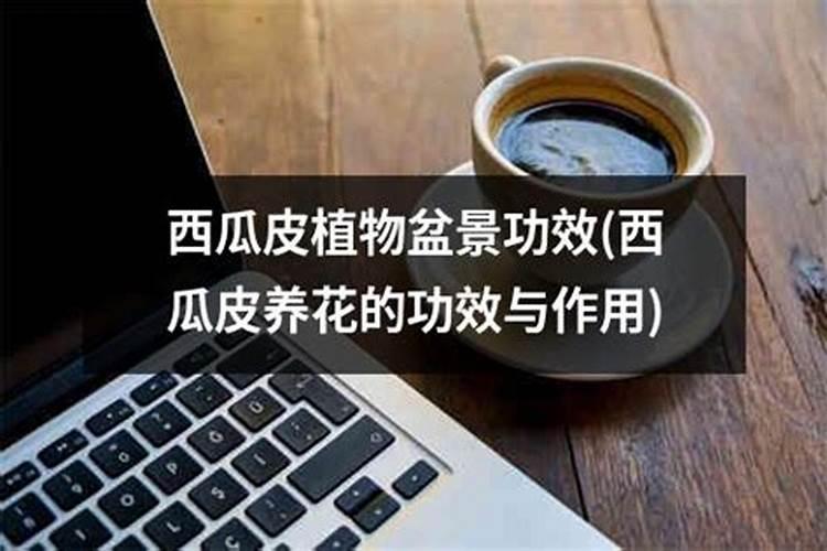 芹菜用什么肥料好