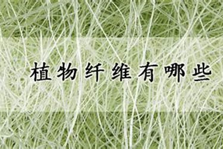 芹菜用什么肥料好