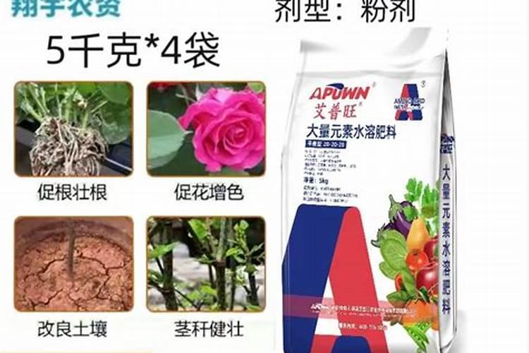 花卉追肥要怎么追