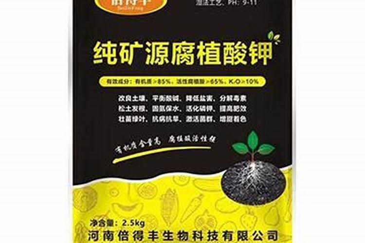 香瓜种多久