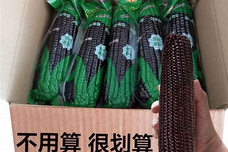 玉米金大棒水溶肥多少钱一瓶