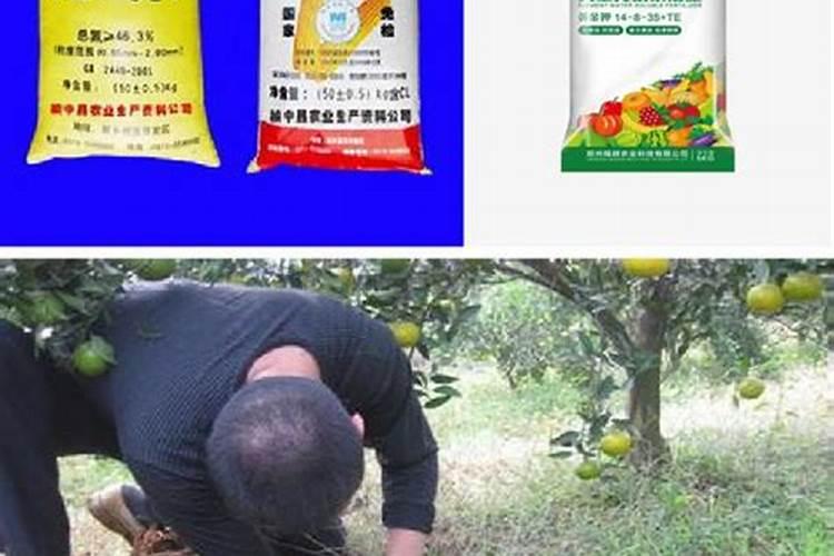 花用复合肥怎么用