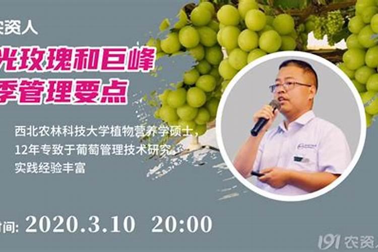 巨峰葡萄怎样施肥巨峰葡萄如何施肥