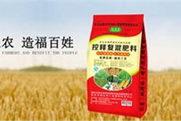 大棚地瓜秧的管理