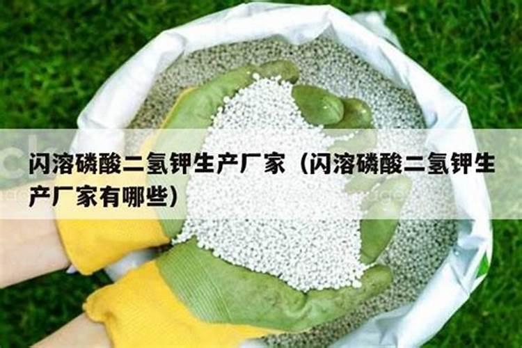 月季花施肥施什么肥料