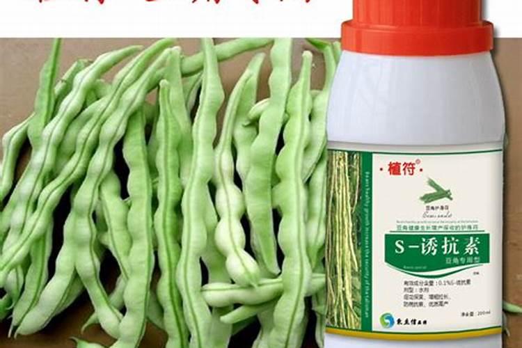 豆角追肥用什么配方的好