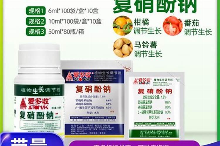 育苗移栽的油菜更有利于培育壮苗,油菜育苗移栽需要掌握哪些技巧？