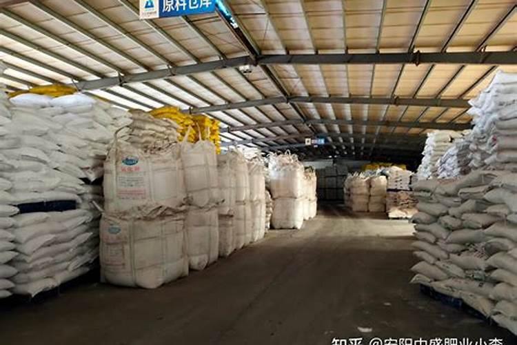 菜椒怎么种才能高产