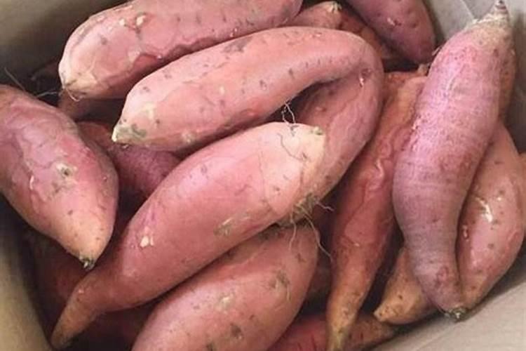 硫酸镁可以做肥料吗