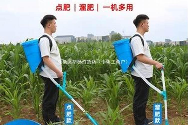 桉树焦枯病施什么肥好