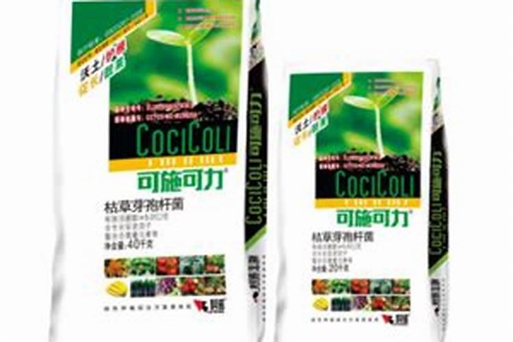 玉米一次性肥料哪个好
