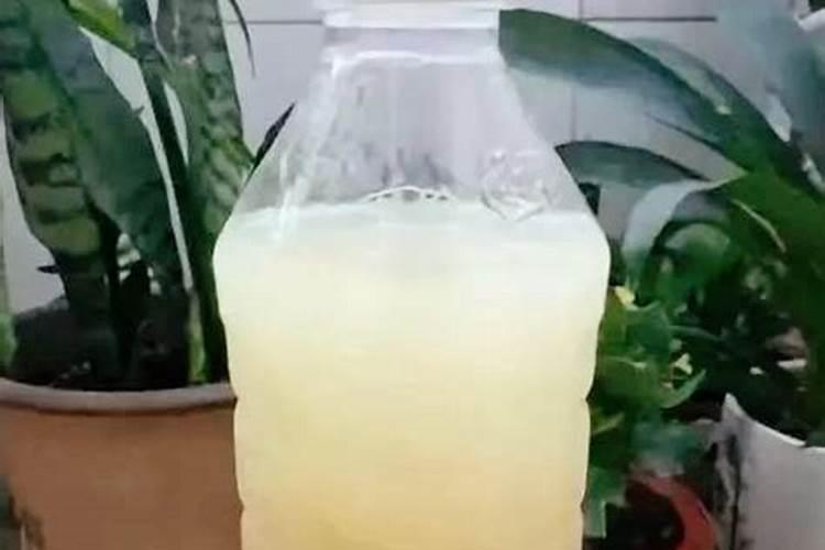 黄豆泡水是什么肥多久可以浇花