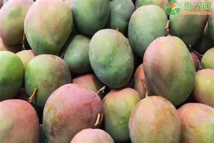 氯化钾肥料能用在什么植物上