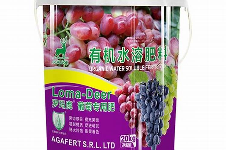 ...芹菜变粗壮 怎样让芹菜长得粗又长得快 芹菜粗的好还是细的好百度知...