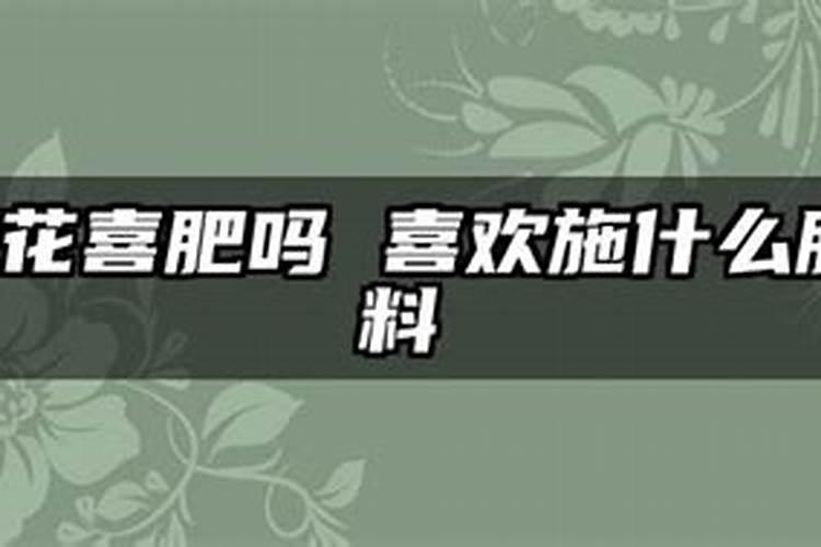 兰花如何施氮肥