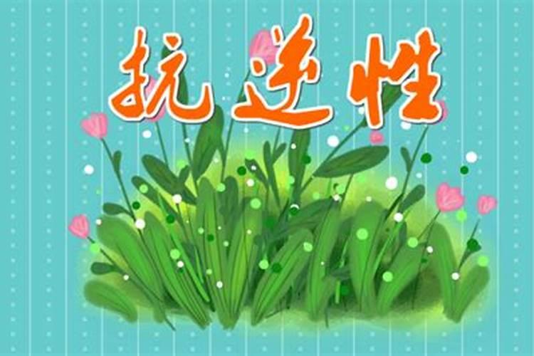 氨基酸水溶肥有啥作用？