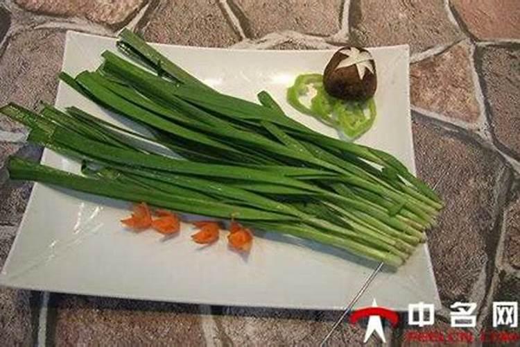 如何给月季花施肥