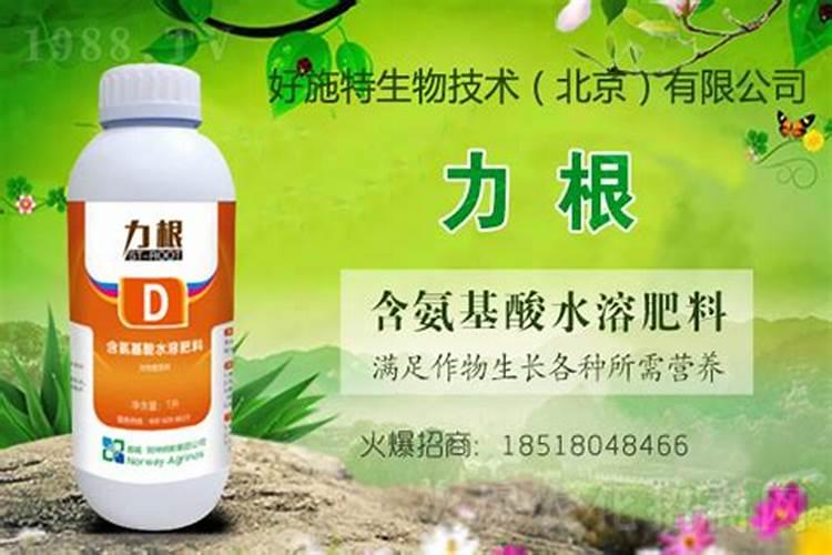 为什么80%的人偏爱“含氨基酸水溶肥”？看完彻底服了
