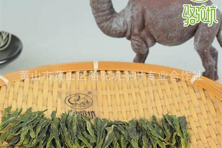 骆驼奶和耗牛奶,哪个营养价值最高？