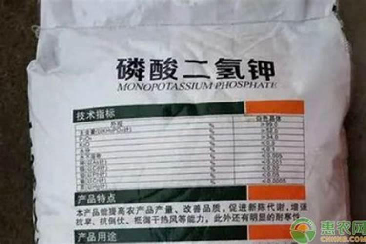 西红柿冲磷酸二氢钾膨果吗