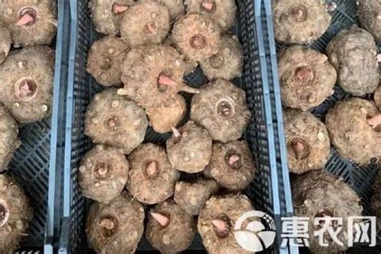 遵义有哪些环保公司