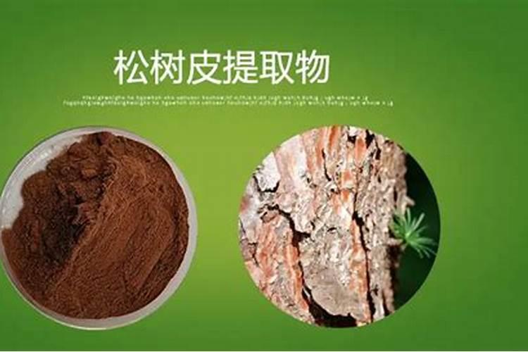 用松针,松树皮,核桃皮,花生皮,银杏叶一起腐熟做君子兰花肥可以吗？