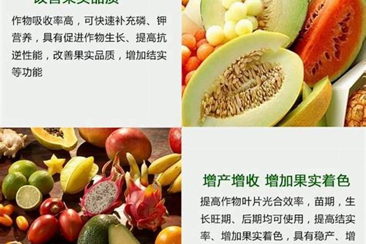 白菜叶面肥的使用方法