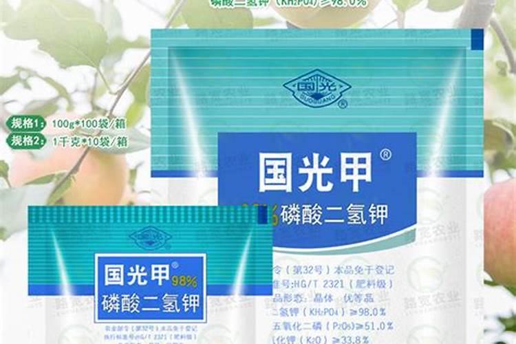 玉米几片喷施锌肥？