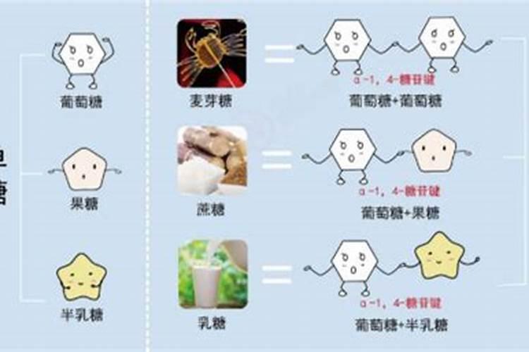 植物的三多是什么？
