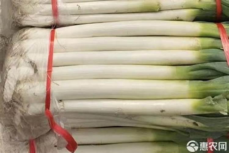 山东大葱的产地在哪里？