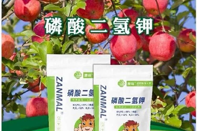 硼砂可以做肥料吗