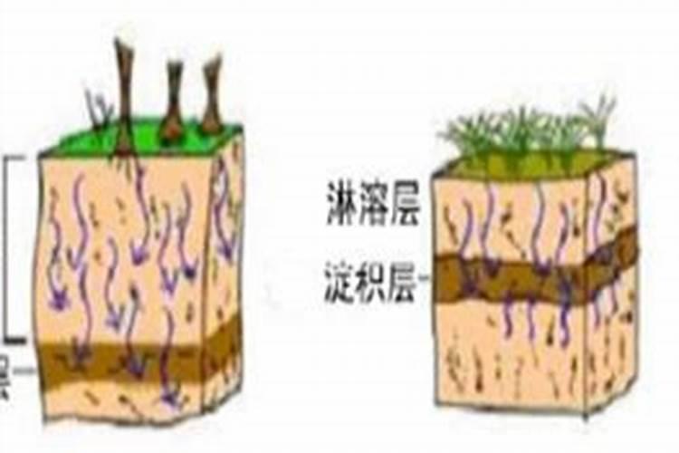 硫酸钙可以做肥料吗 怎么施合适