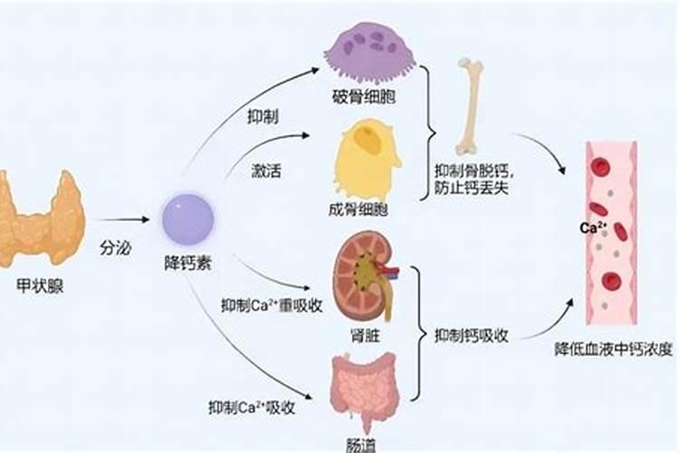 猕猴桃叶面卷曲怎么回事？