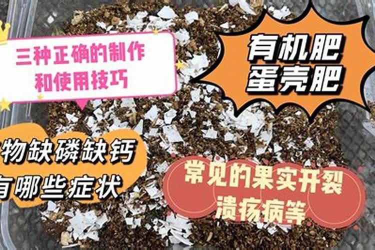 鸡蛋壳加白醋发酵几天能成钙肥？