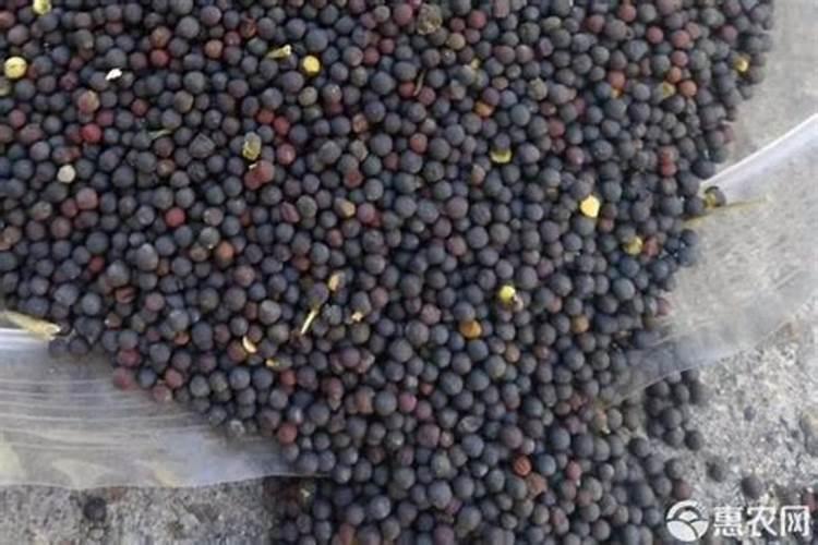 KNO3是一种常见的化学肥料,它属于( )A.钾肥B.磷肥C.氮肥D.复合百度知...