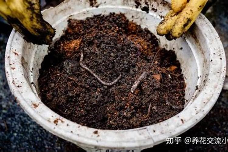 腐植酸钾使用方法