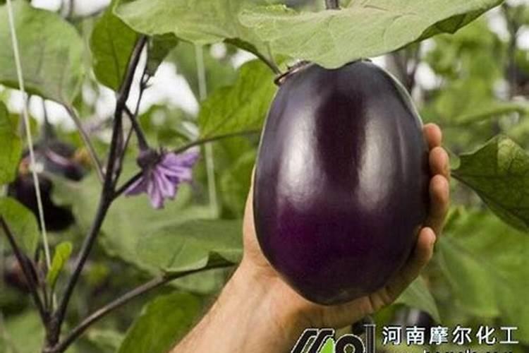 中国各行业排名前几名的企业