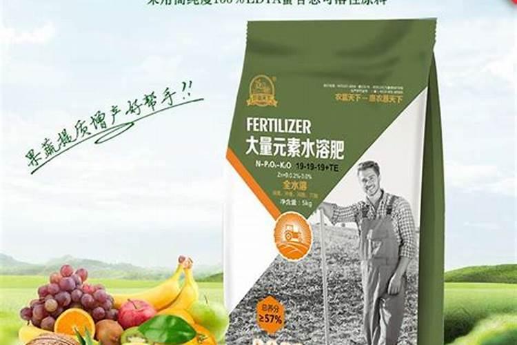 果树环割的作用和最佳时间