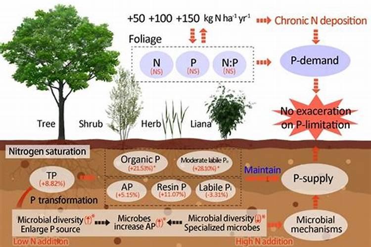 化肥中的氮磷钾对植物分别有什么作