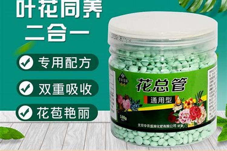 种花草用什么肥料最好