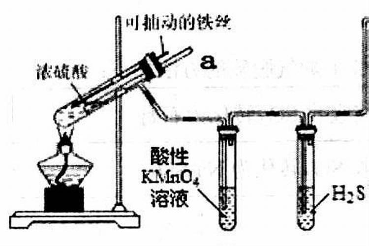氮肥特点及施用方法