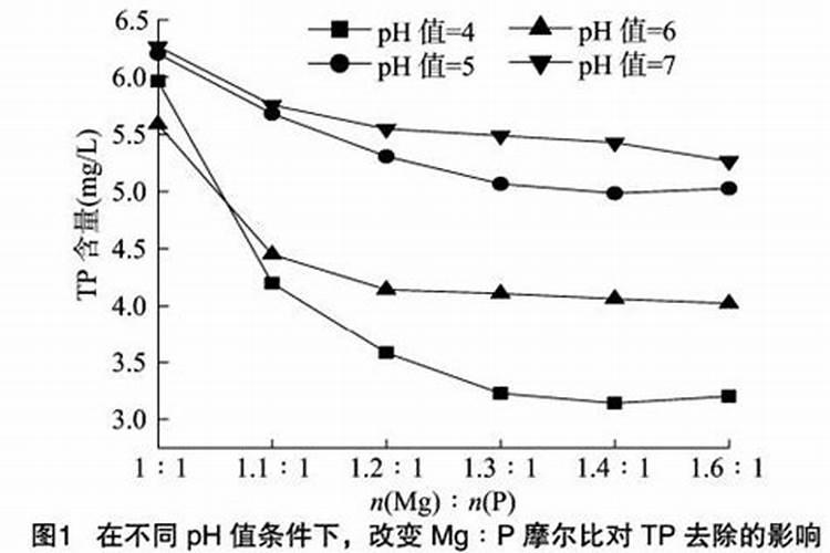幼鸟吃完就拉的白色的是什么
