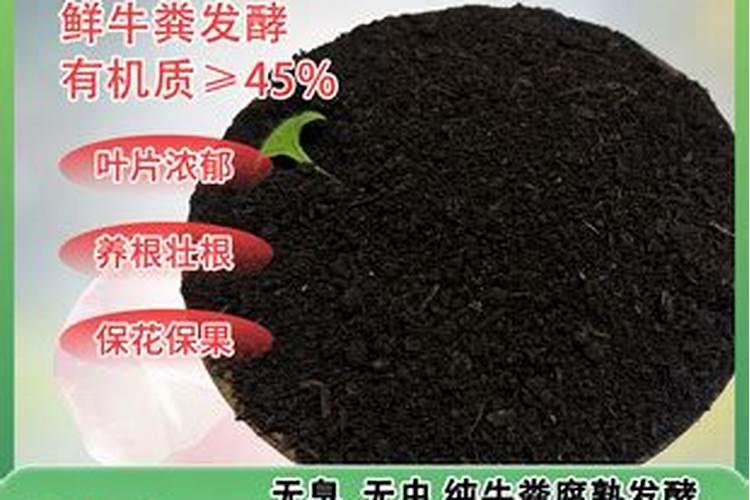 肥胖者会营养不良吗蚂蚁庄园介绍肥胖者会营养不良吗蚂蚁庄园是什么百 ...