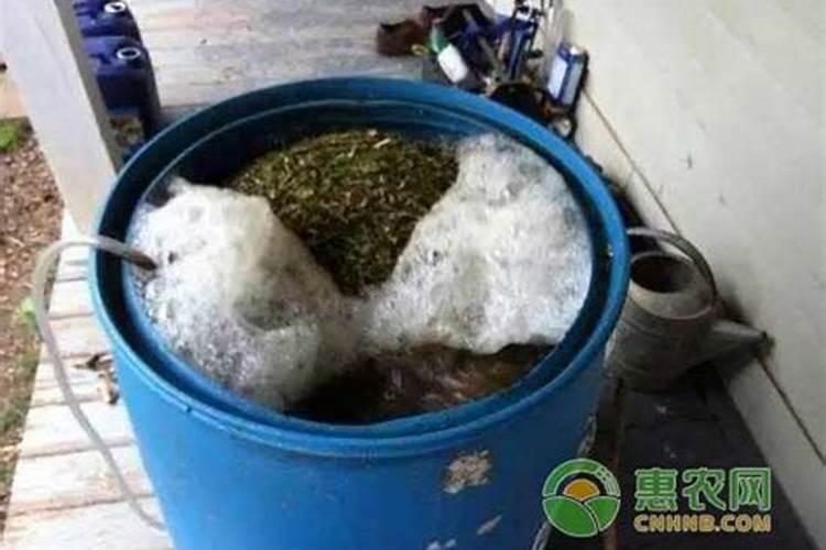 鸡蛋壳怎么做肥料 用鸡蛋壳做花肥注意