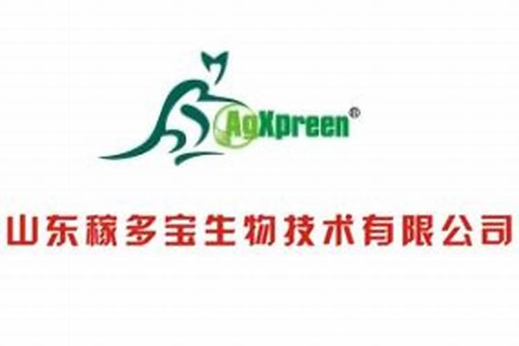 盆栽兰花怎么能种好？