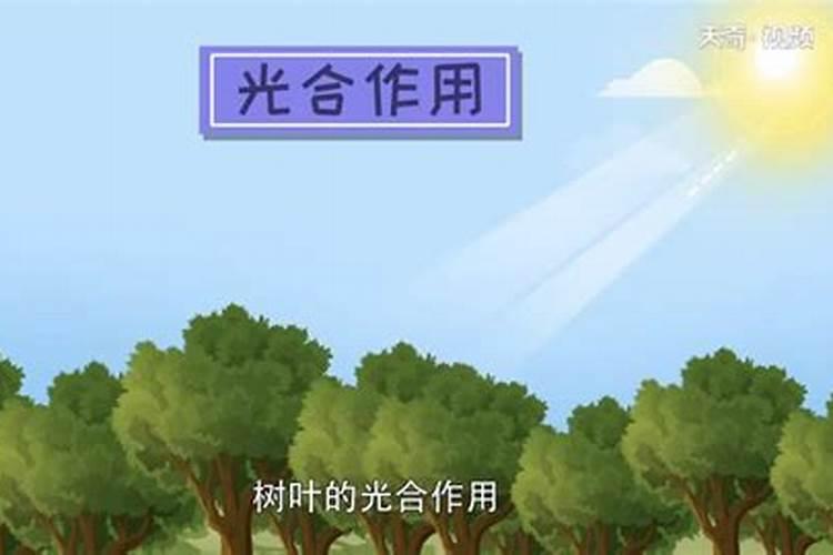 FLP是什么