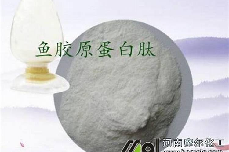 卷心菜怎么施肥
